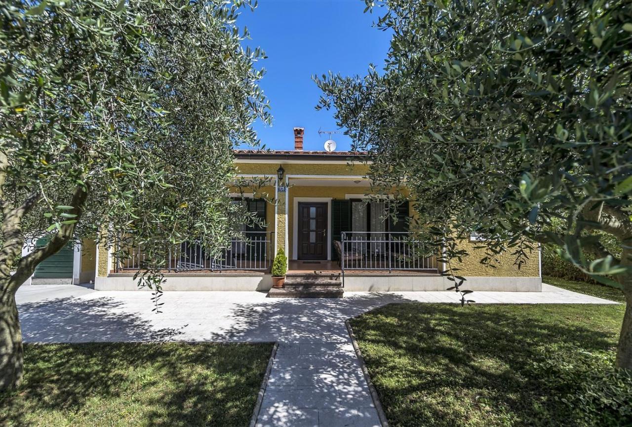 Spacious Three-Bedroom Villa Balun With Pool Porec Bagian luar foto